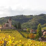 Colmar And C0 * Ingersheim