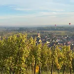 Colmar And C0 度假居 *