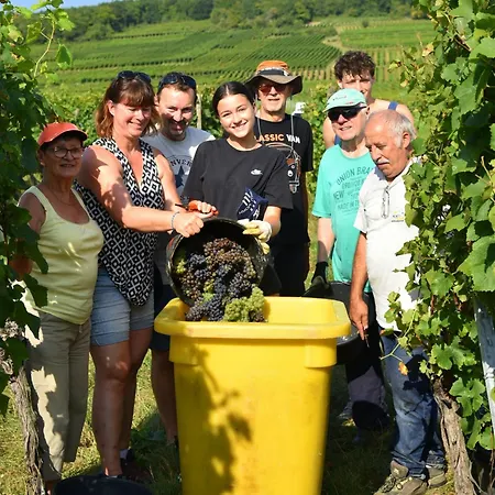 Colmar And C0 Ingersheim