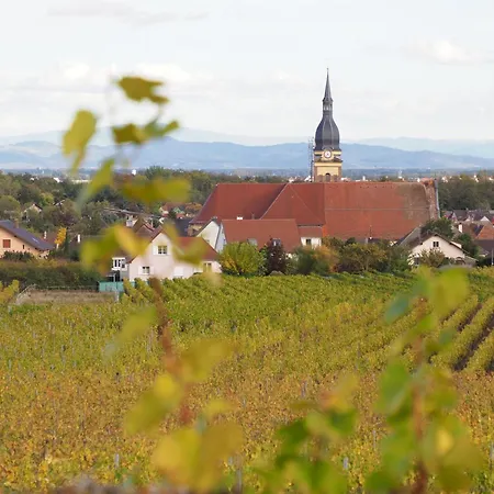 Colmar And C0 * Ingersheim