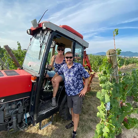 Colmar And C0 Nyaraló Ingersheim