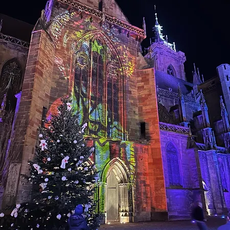 בית נופש Colmar And C0 *