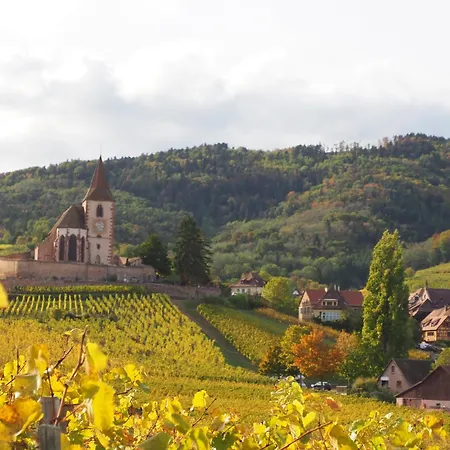 Colmar And C0 * Ingersheim