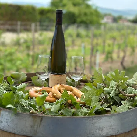 Nyaraló Colmar And C0 *