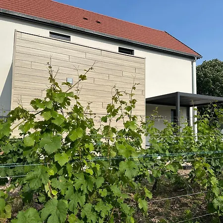 Colmar And C0 Nyaraló