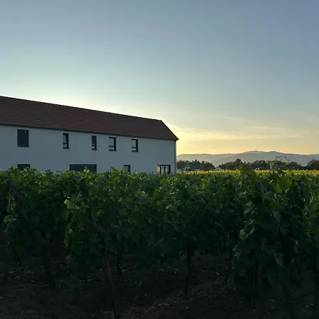 Nyaraló Colmar And C0 *