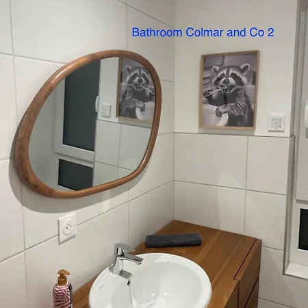 Colmar And C0 Nyaraló Ingersheim