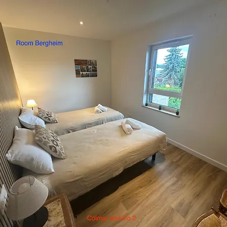 Nyaraló Colmar And C0 *