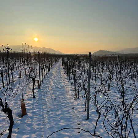 Colmar And C0 * Ingersheim