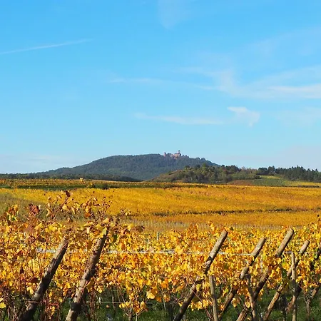 Colmar And C0 Nyaraló