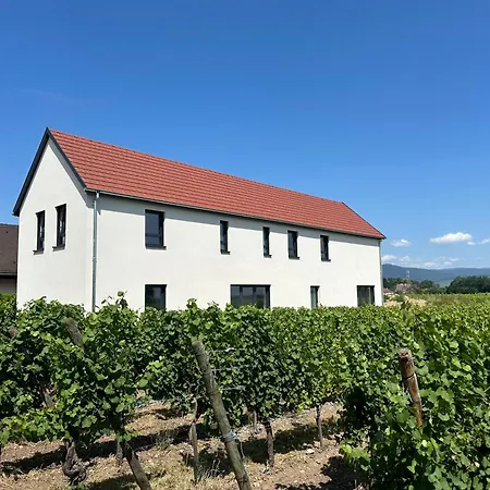 Colmar And C0 Nyaraló