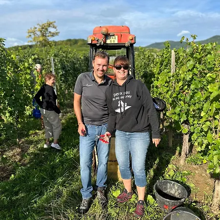 Nyaraló Colmar And C0 Ingersheim