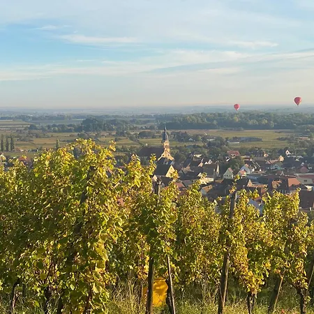 Colmar And C0 Nyaraló *