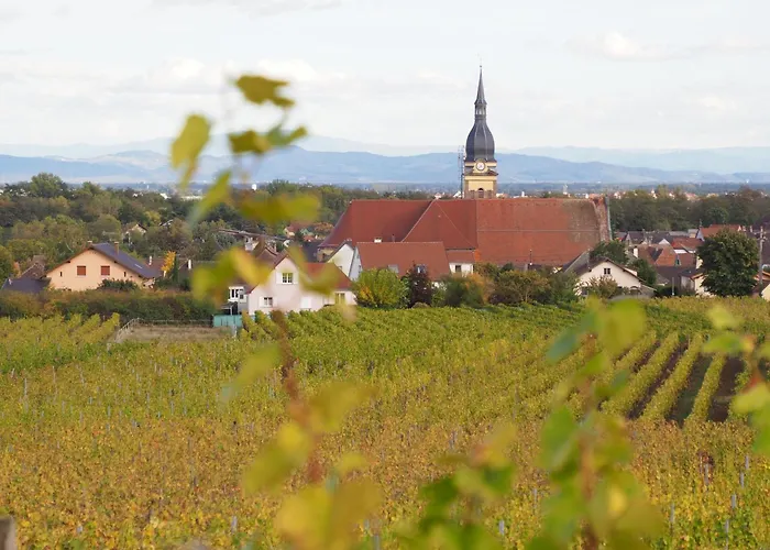 Colmar And C0 * Ingersheim
