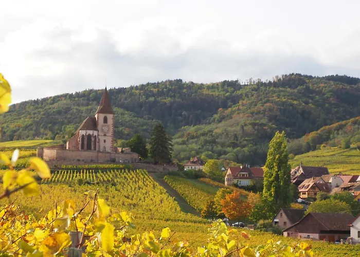 Colmar And C0 * Ingersheim